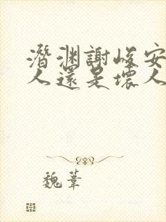 潜渊谢峻安是好人还是坏人