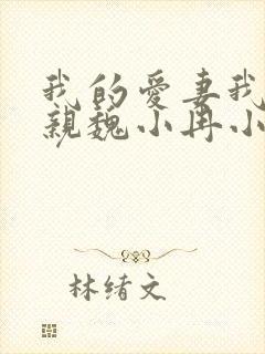 我的爱妻我的父亲魏小冉小说