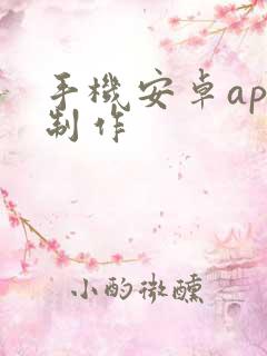 手机安卓app制作