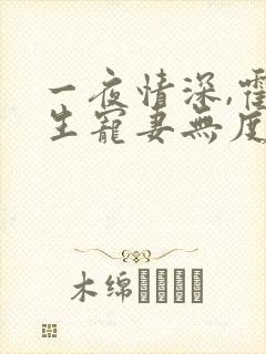 一夜情深,霍先生宠妻无度小说最新