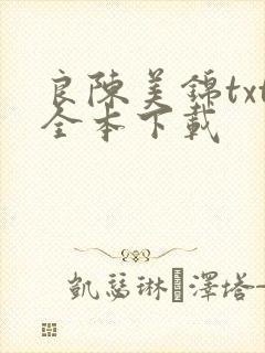 良陈美锦txt全本下载