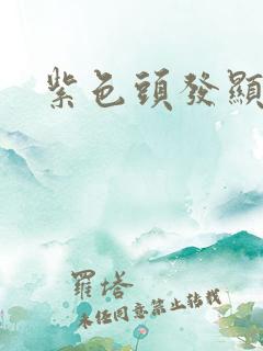 紫色头发显白吗