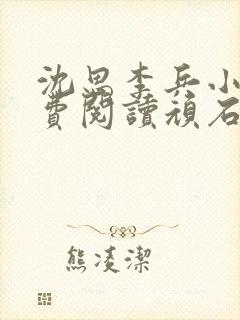 沈思李兵小说免费阅读顽石网