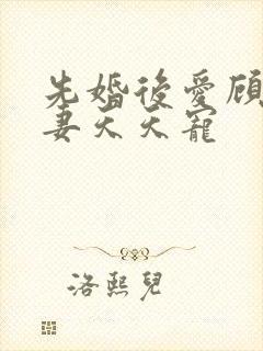 先婚后爱顾少娇妻天天宠