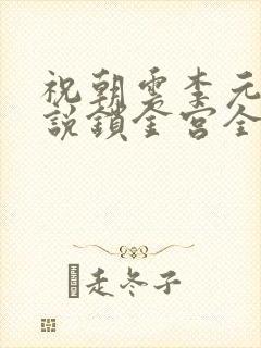 祝朝云李元昭小说锁金宫全文免费阅读