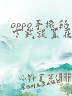 oppo手机的下载设置在哪