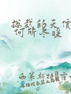 总裁的天价宠妻 何所冬暖