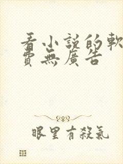 看小说的软件免费无广告