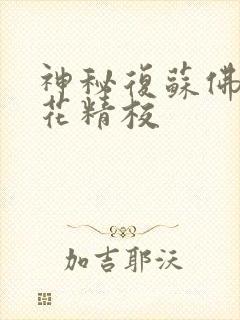 神秘复苏佛前献花精校