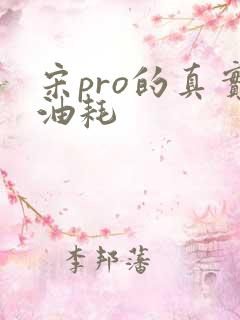 宋pro的真实油耗