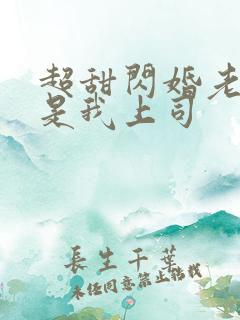 超甜闪婚老公竟是我上司