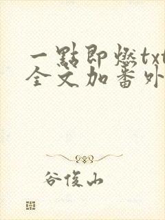 一点即燃txt全文加番外