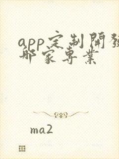 app定制开发哪家专业