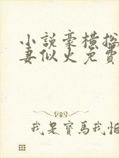 小说豪横总裁宠妻似火免费阅读