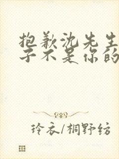 抱歉沈先生,孩子不是你的短剧在线观看