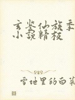 玄鉴仙族季越人小说精校