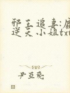 邪王追妻:废材逆天小姐txt