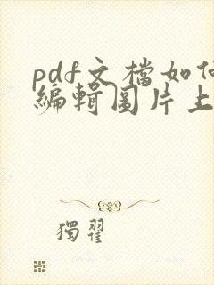 pdf文档如何编辑图片上的文字