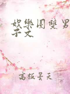 娱乐圈双男主生子文