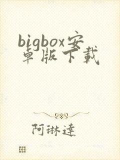 bigbox安卓版下载