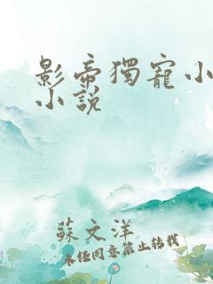 影帝独宠小娇妻小说