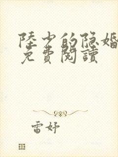 陆少的隐婚罪妻免费阅读