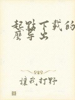 起点下载的书怎么导出