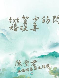 txt贺少的闪婚暖妻