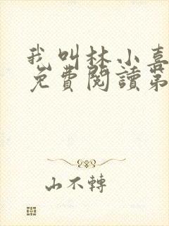 我叫林小喜全文免费阅读第二部