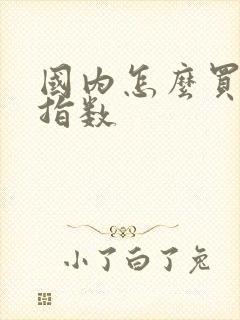 国内怎么买美股指数