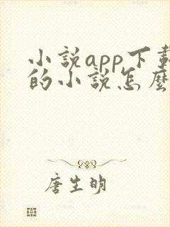 小说app下载的小说怎么导出