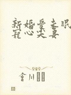 新婚爱未眠:萌宠心尖妻