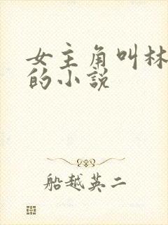 女主角叫林清雅的小说