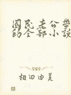 国民老公带回家的全部小说