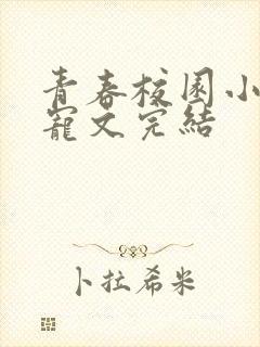 青春校园小说甜宠文完结