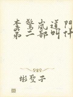 李惊岚道门老九第二部叫什么小说