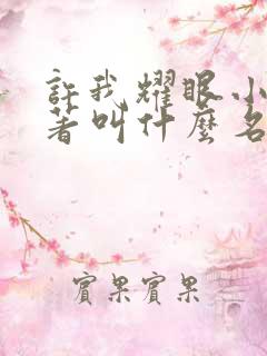 许我耀眼小说原著叫什么名字