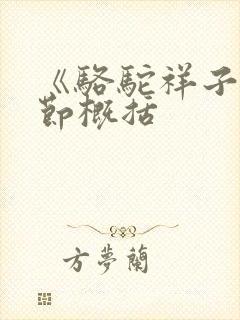 《骆驼祥子》章节概括