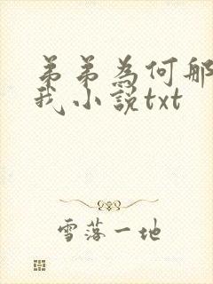 弟弟为何那样看我小说txt