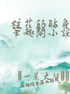 校花的贴身高手笔趣阁小说免费版