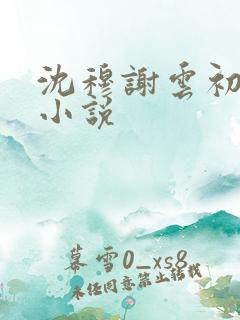 沈穆谢云初岑念小说