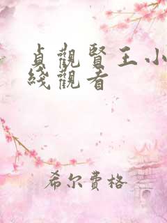 贞观贤王小说在线观看