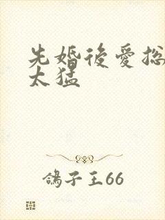 先婚后爱总裁别太猛