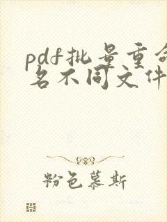 pdf批量重命名不同文件名