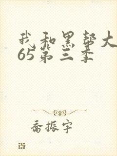 我和黑帮大佬365第三季