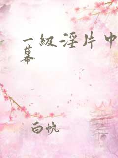 一级淫片中文字幕