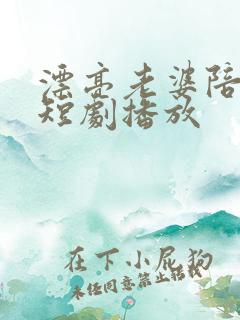 漂亮老婆陪过年短剧播放