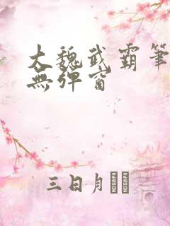 大魏武霸笔趣阁无弹窗