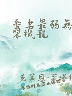 番名最弱无败神装机龙