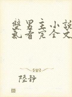 双男主小说一口气看完全文系列